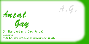 antal gay business card